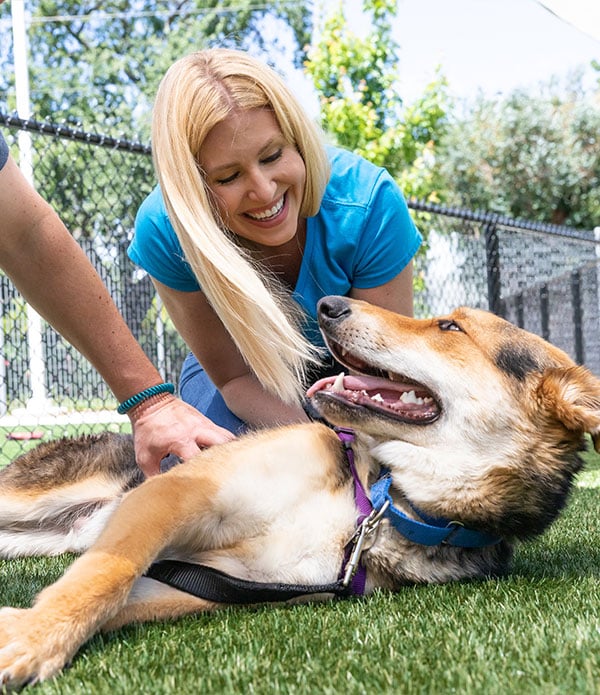 A volunteer interacts with a happy dog in a grassy area. The woman, with long blonde hair, smiles while petting the dog, which is lying down with a leash attached. A fence and trees are visible in the background.