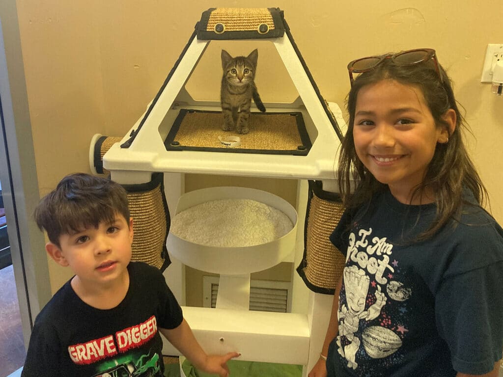 A young girl and boy stand beside a multi-level cat tree with a gray kitten perched on the top platform. The boy wears a black shirt with a graphic print, while the girl wears a dark shirt with a design, smiling at the camera. The scene showcases the theme of adoption.