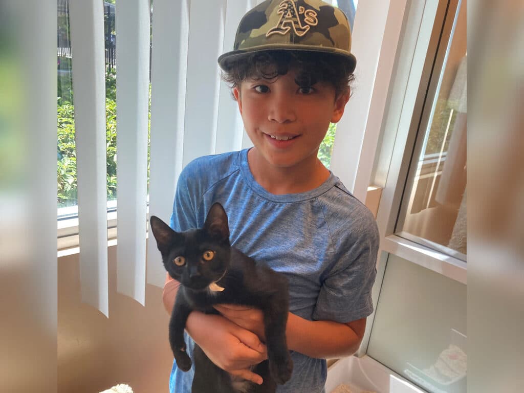 A young boy wearing a camouflage cap smiles while holding a black cat in his arms. The background features sheer blinds and a sunny window, indicating a bright indoor space related to an adoption event.