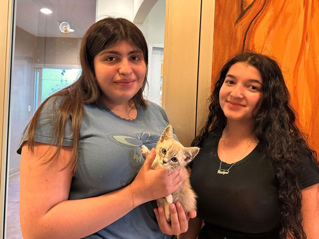 Two teenage girls stand in a well-lit room, smiling while holding a small kitten. The girl on the left wears a light blue t-shirt, while the girl on the right is in a black top. The image highlights their joy in adopting the kitten.