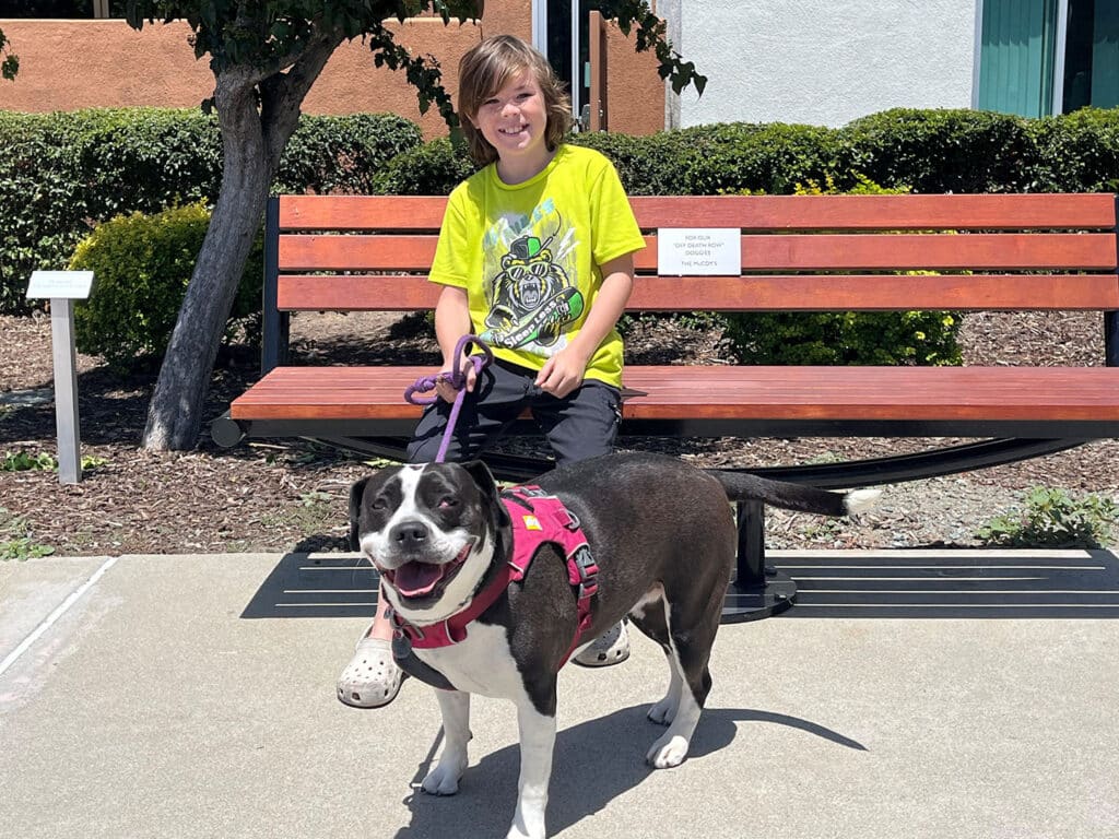 A boy wearing a bright yellow t-shirt stands beside a black dog with a pink harness, smiling. The dog is leashed, and they are on a concrete path near a wooden bench in a park-like setting, emphasizing the theme of adoption.