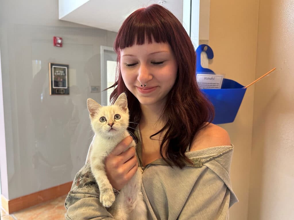 A young person with red hair and a grey sweatshirt holds a small beige kitten in their arms inside a brightly lit room. The kitten looks curiously at the camera, and the person appears relaxed and content, emphasizing the theme of adoption.