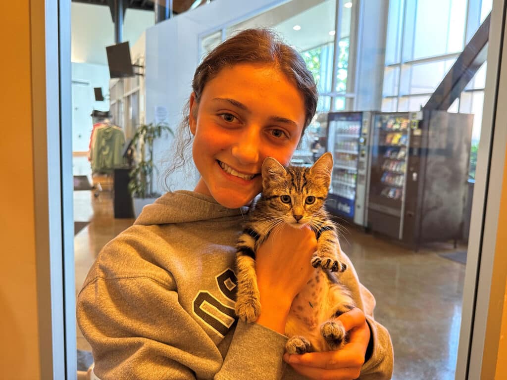 A girl smiling while holding a tabby kitten in her arms. The background shows a bright space with large windows and some shelves. This image highlights an adorable moment related to adoption.