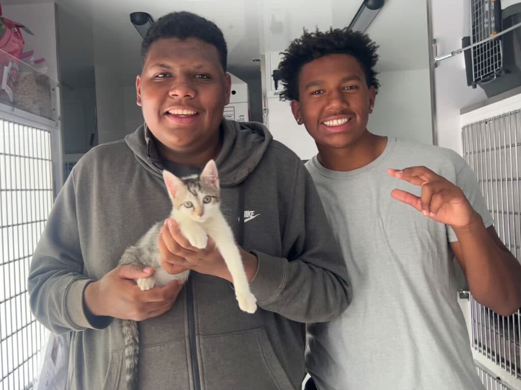 Two young men are smiling while holding a gray and white kitten in a pet shelter. The man on the left has a gray hoodie, and the man on the right is wearing a light gray T-shirt. Shelving with pet cages is visible in the background, highlighting the adoption theme.