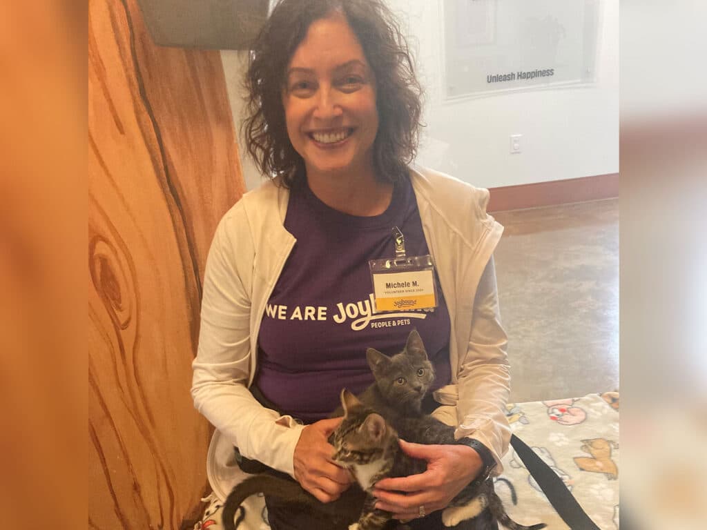 A woman with curly hair dressed in a purple t-shirt sits on the floor, holding two kittens on her lap, while another kitten rests beside her. The background is an indoor space with light-colored walls and a welcoming atmosphere, reflecting a focus on adoption.