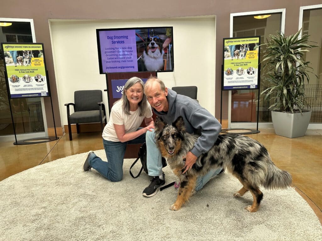 A woman and a man are kneeling on a gray carpet alongside a medium-sized dog with a merle coat. Behind them, a screen displays information about dog grooming services, and colorful posters are visible in the background.