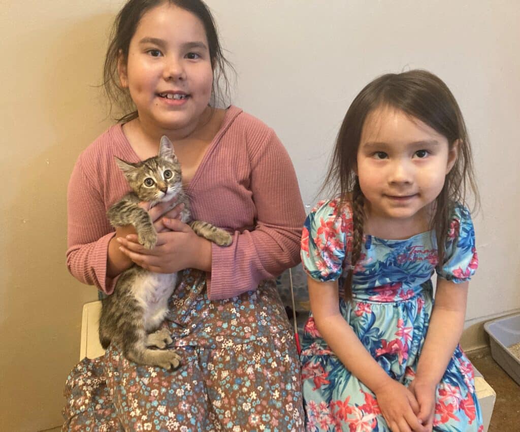 Two young girls sit next to each other on a bench. One girl holds a gray striped kitten, while the other girl smiles. They are dressed in colorful outfits, with the girl on the left in a pink top and floral skirt, and the girl on the right in a blue dress with floral patterns.