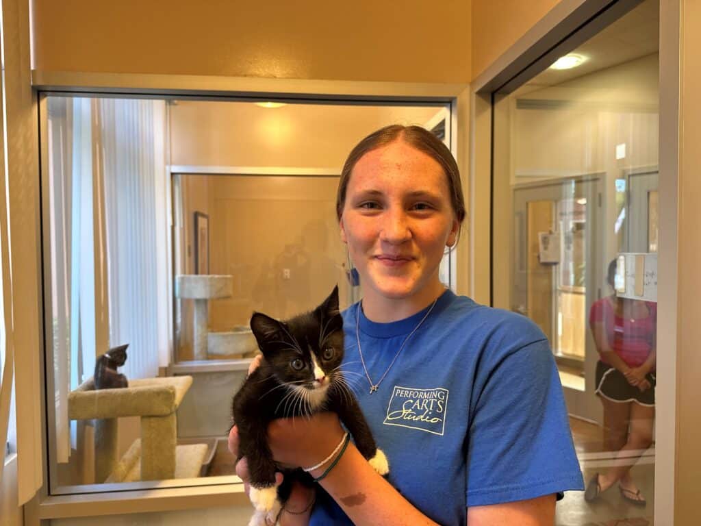 A young woman wearing a blue t-shirt holds a small black and white kitten in her arms inside a shelter. A cat tree is visible in the background along with light-colored walls and a window that lets in natural light.
