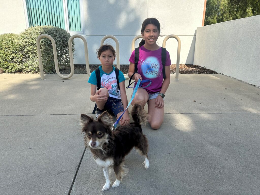 Two young girls stand on a sidewalk outside a building, holding leashes attached to a small brown and white dog. One girl looks at the camera, while the other appears to hold a toy. Green shrubbery and a wall are visible in the background.
