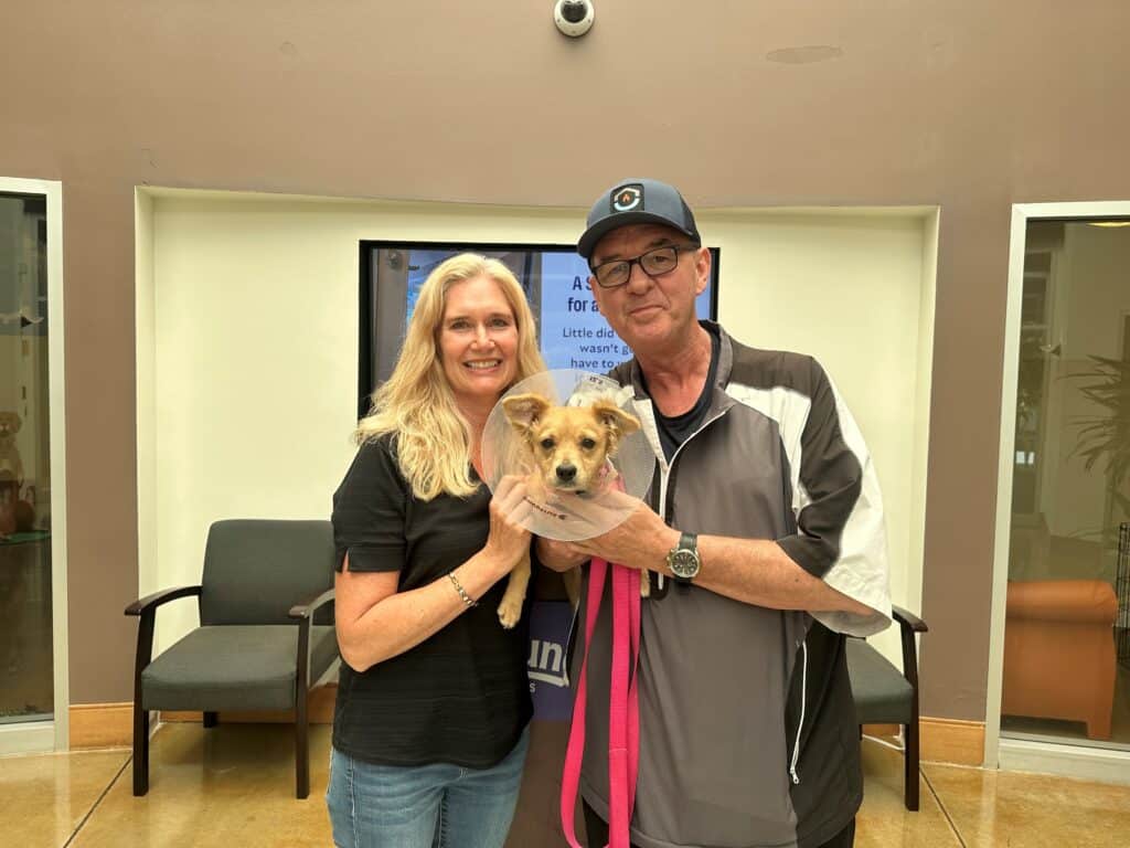 A smiling woman and man stand together in a lobby, holding a small dog. The woman has long blonde hair and wears a black shirt and blue jeans. The man has glasses and wears a gray jacket and a blue cap. Behind them, there are two empty chairs and a screen.