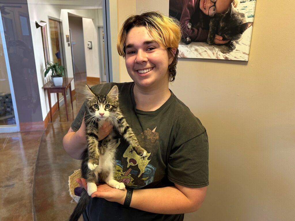 A smiling person with short, colorful hair holds a gray and white kitten in a welcoming indoor environment. The background shows a hallway and a photo of a person with a cat on the wall. The setting suggests an adoption event.