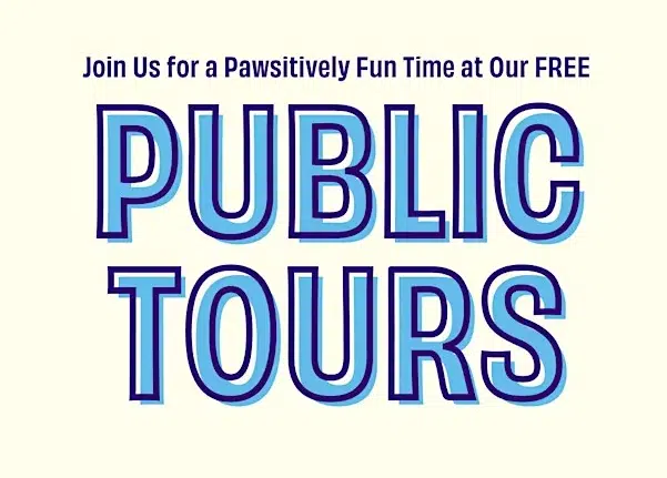 Joybound Onsite Tours