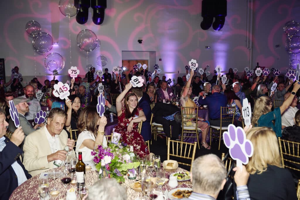 A large crowd at a themed event, with attendees holding up numbered signs shaped like paw prints. Tables are set with floral centerpieces and dinnerware. The atmosphere is festive, with colorful lighting in the background, highlighting the theme of arf joybound events.