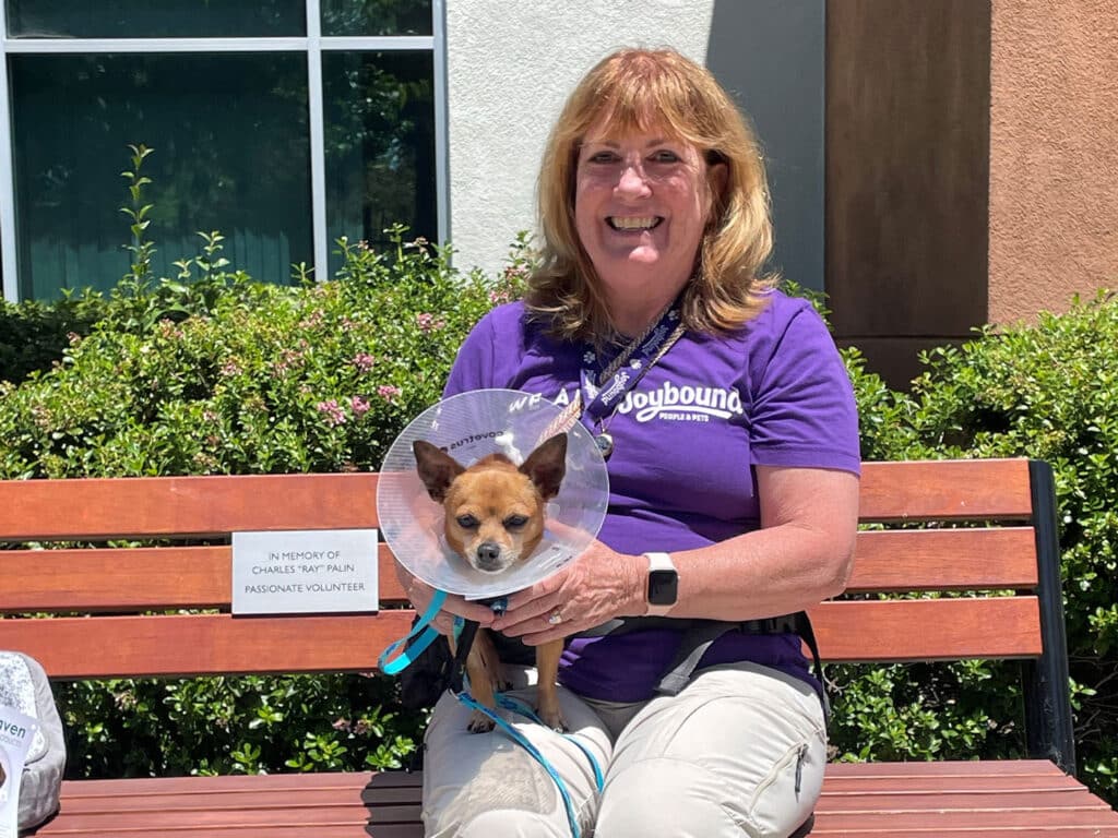 A woman wearing a purple 'Joybound' shirt sits on a bench with a small dog wearing a protective cone. The bench has a sign in memory of past volunteers. The setting includes green shrubbery and sunlight.