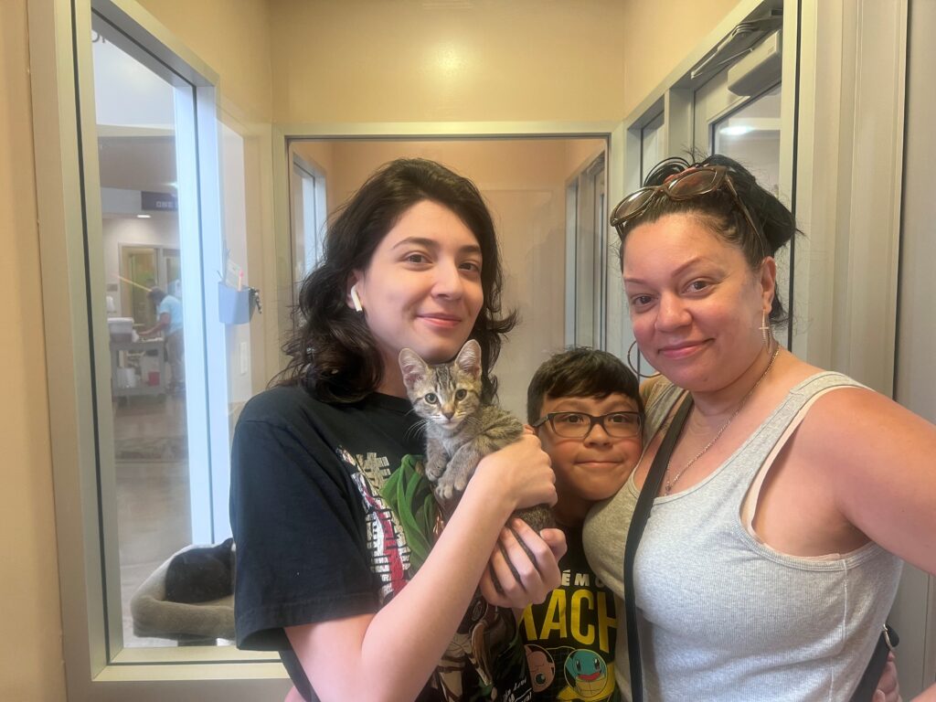 A young woman holds a gray kitten, smiling alongside a boy wearing glasses and a woman in a tank top. They are in a well-lit space with glass doors in the background, presumably at an adoption center.