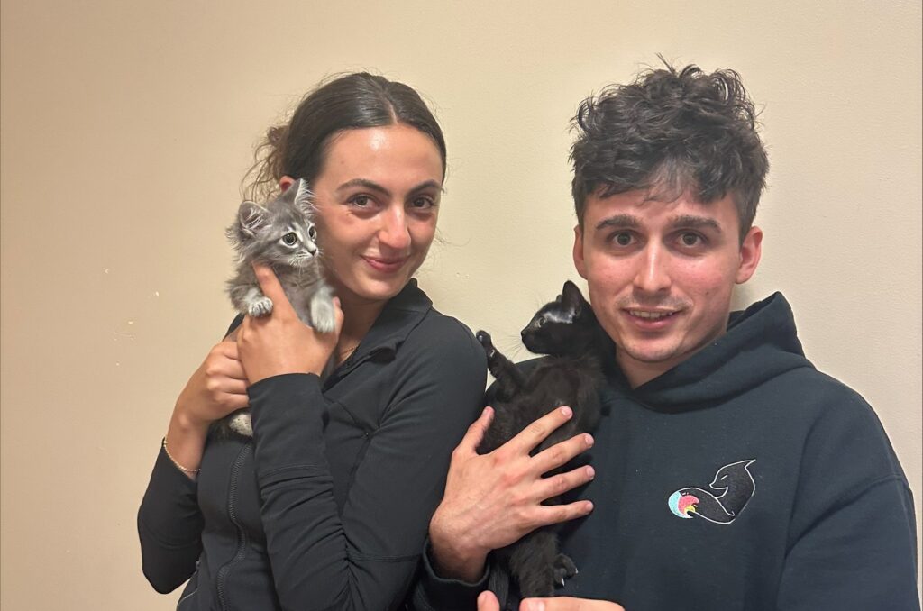 A woman holds a grey kitten on her left arm, smiling while standing next to a man who holds a black kitten in his right arm. They are positioned against a light-colored wall.