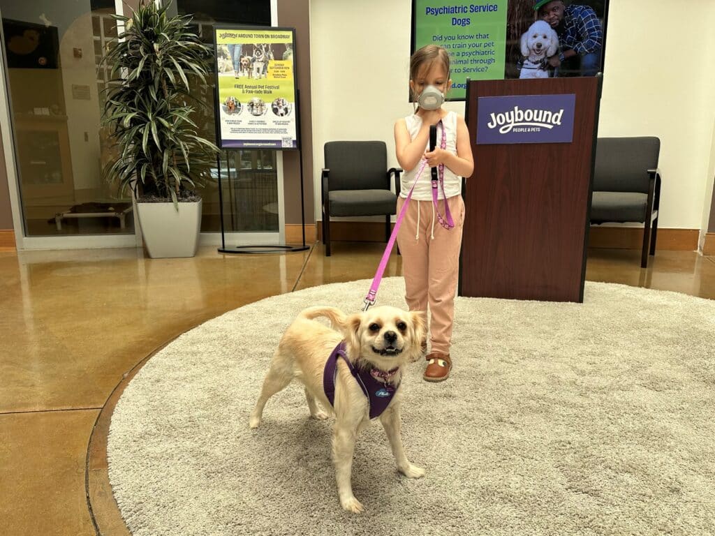 A child in a mask stands in front of a podium at Joybound with a tan dog wearing a purple harness. The backdrop includes a display on psychiatric service dogs, highlighting the adoptions at Joybound.