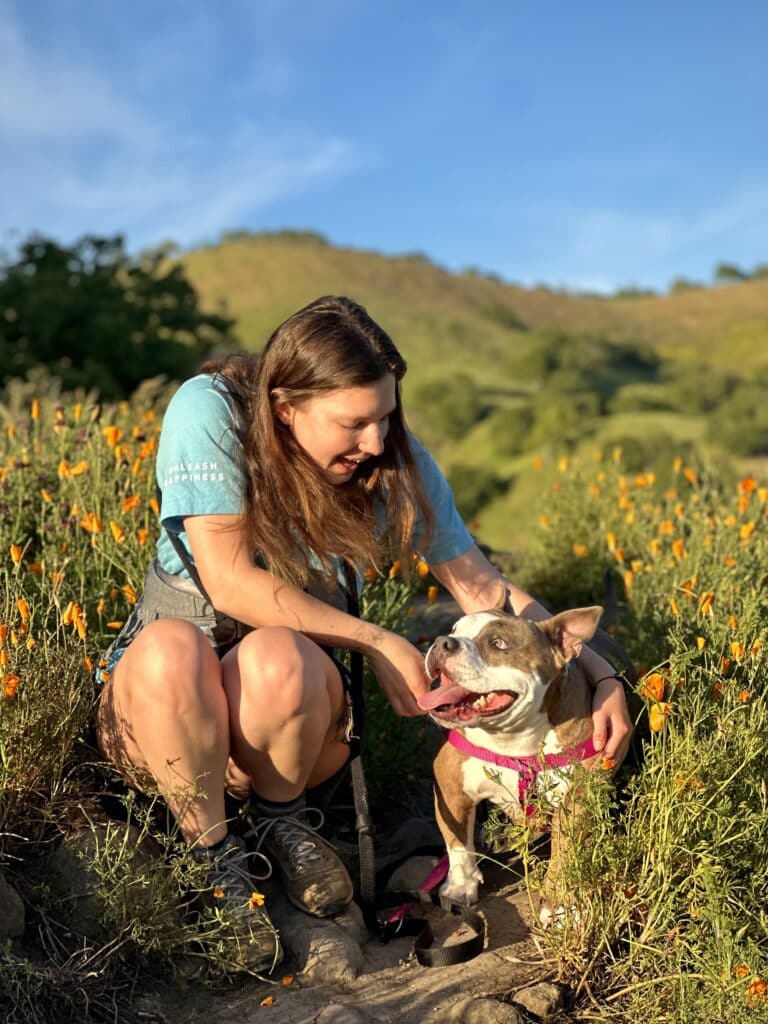 A woman with long brown hair, wearing a blue shirt and shorts, sits on a trail surrounded by orange wildflowers, interacting with a brown and white dog that wears a pink harness. Green hills are visible in the background.