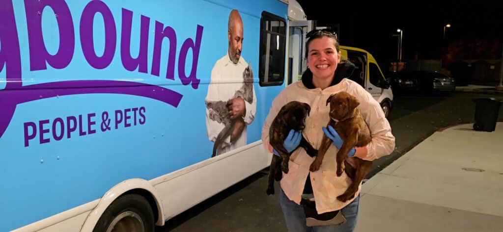 A woman holding two puppies outside a van with a sign reading "Pawbound People & Pets." The van features an image of a man holding a dog. The setting is at night, with surrounding vehicles and a well-lit area.