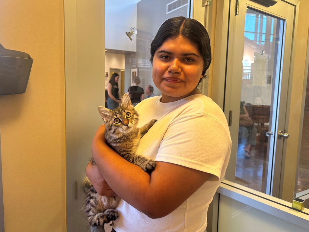 A young woman holds a gray tabby kitten in her arms, standing inside an adoption center. The background shows a bright interior setting with other visitors. This image reflects the theme of "Adoptions at Joybound" during a recent adoption event.