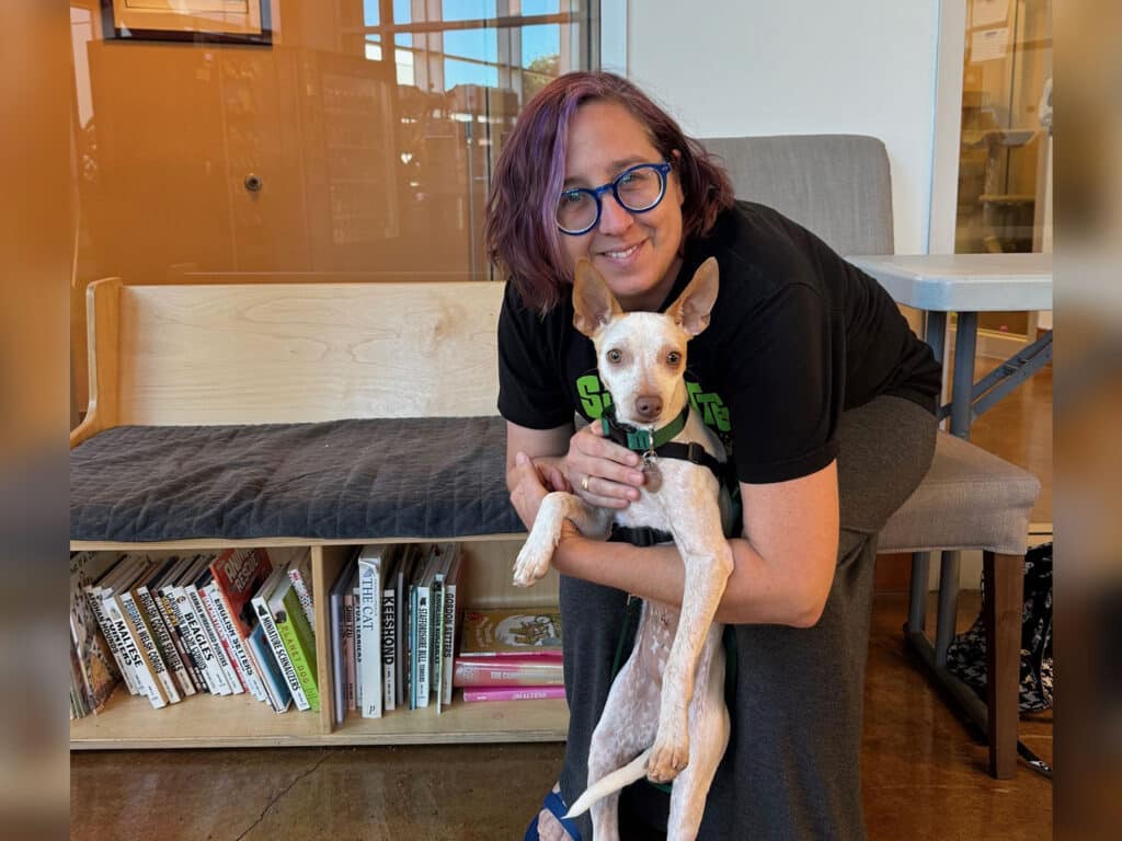 A woman with short purple hair, wearing glasses and a black t-shirt, crouches on the floor while holding a small dog in her arms. The background shows a wooden bench and a shelf with books, indicating a pet adoption setting.