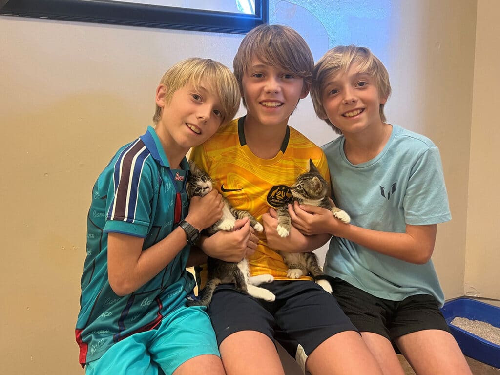 Three boys sitting on a bench, each holding a kitten. Two of the boys are wearing colorful shirts, while the third is in a light blue shirt. The background features a litter box and a window, highlighting the joyful atmosphere of Adoptions at Joybound.