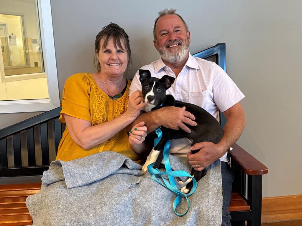 A man and woman sit together on a bench, both smiling and holding a small black and white dog. The woman is wearing a yellow blouse, while the man is in a white shirt. A gray blanket covers their laps, emphasizing the warmth of this adoption moment. Adoptions at Joybound.