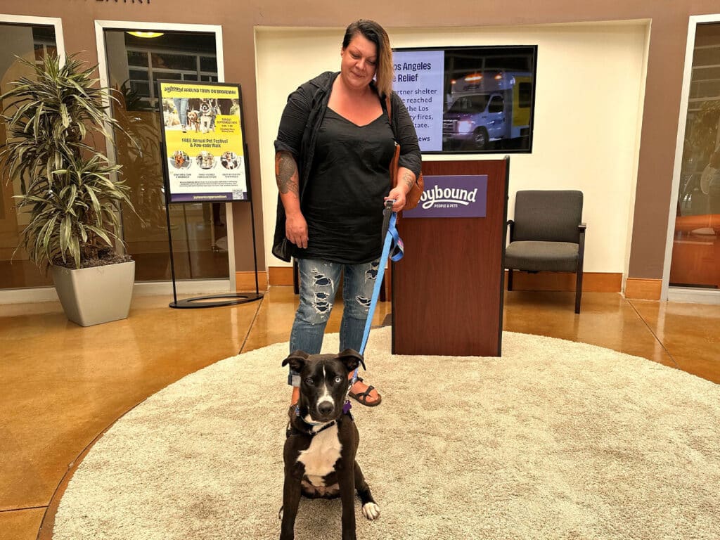 A woman standing with a black and white dog on a leash in a welcoming indoor space. The background features a podium labeled 'Joybound' and informational posters about pet adoption. This scene reflects the theme of 'Adoptions at Joybound'.