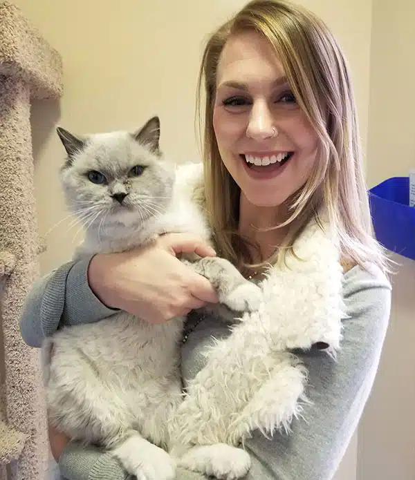 A smiling woman holds a fluffy gray and white cat in her arms. She has long blonde hair and is wearing a light sweater. The background features a cat tree and blue object, suggesting a cozy indoor space for cats.