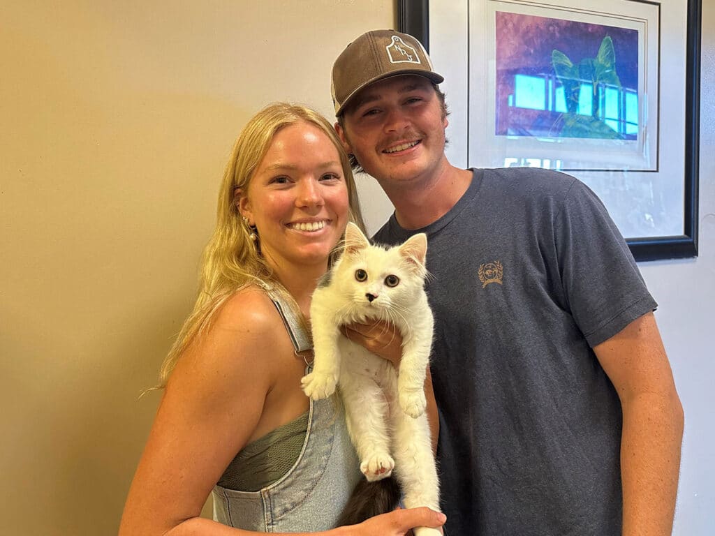 A woman in a light outfit holds a white kitten, while a man in a dark T-shirt stands beside her, smiling. They are in an indoor setting with art on the walls, likely celebrating the adoption of the kitten.