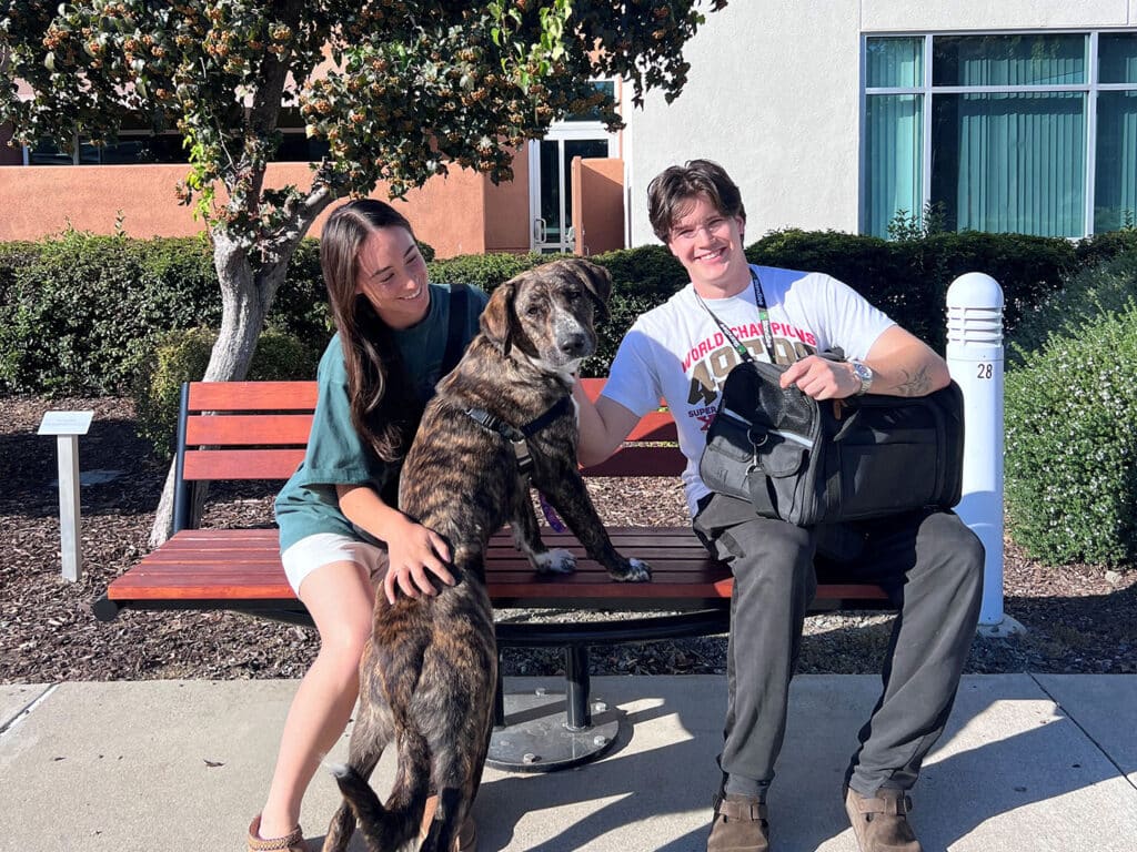 A woman and a man sit on a bench outside a building, with a brown brindle dog standing beside them. The woman gently pets the dog's head while the man smiles and holds a bag. The scene suggests a moment of joy related to pet adoption.