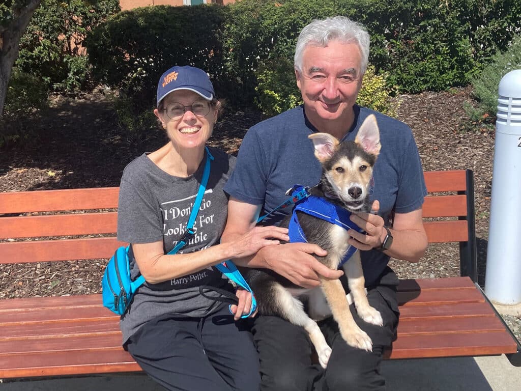 A woman and a man sitting on a bench in a park. The woman is wearing a baseball cap and a t-shirt, while the man has grey hair and is holding a dog on his lap. The dog, a light-colored mixed breed, is wearing a blue harness. Green bushes are in the background.