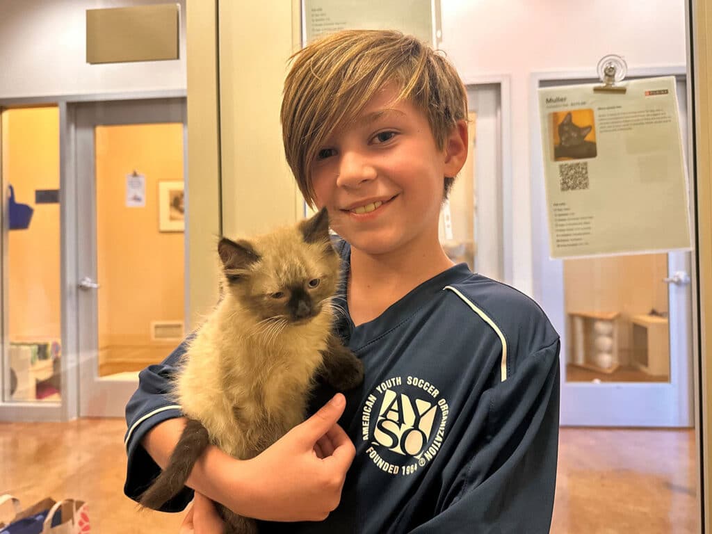 A smiling boy in a blue youth soccer jersey is holding a fluffy kitten in his arms. The background shows a well-lit room with other rooms visible. The image reflects a moment of adoption and companionship.