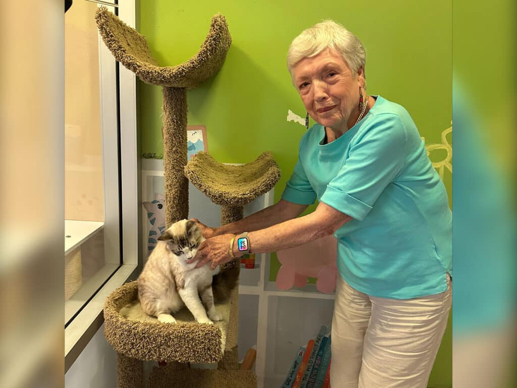 An elderly woman in a turquoise shirt gently pets a cat sitting on a scratching post in a bright, colorful room. The setting suggests a space related to pet adoption, emphasizing interactions with animals.