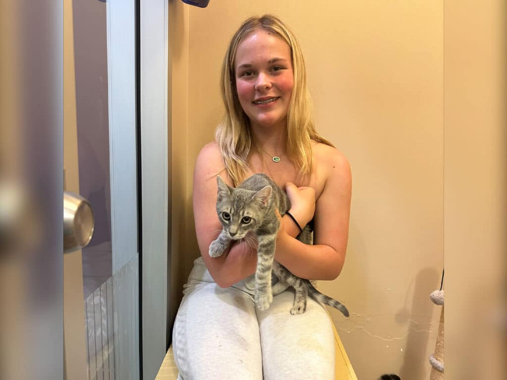 A young girl sitting on a bench in an animal shelter, holding a gray tabby kitten in her arms. The background consists of light-colored walls and a glass door, indicating a welcoming environment. This image highlights adoptions at Joybound.