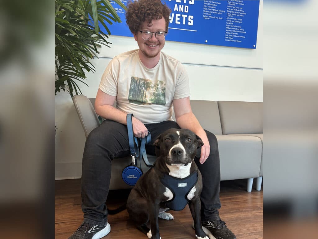 A young man seated on a couch, smiling while sitting next to a black and white dog that is wearing a harness. The background features a green plant and a blue wall with text. This highlights the theme of 'Adoptions at Joybound'.