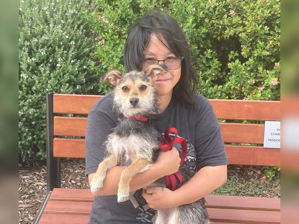 A child with black hair and glasses holds a small, scruffy dog in a park. The child wears a gray t-shirt and smiles while seated on a wooden bench. Green bushes are visible in the background, suggesting an outdoor setting. This image relates to pet adoption.
