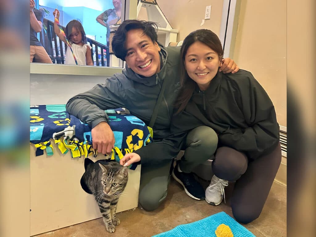 A couple smiles while kneeling beside a tabby cat in a shelter setting. The woman gently pets the cat, and the man is leaning down towards it. A child in the background observes. Colorful blankets are seen nearby, highlighting an adoption event.