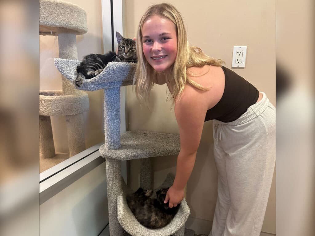 A young girl stands next to a cat tree, interacting with a cat inside the lower level while another cat sits on the top shelf. This scene highlights the joyful moments during adoptions at Joybound.