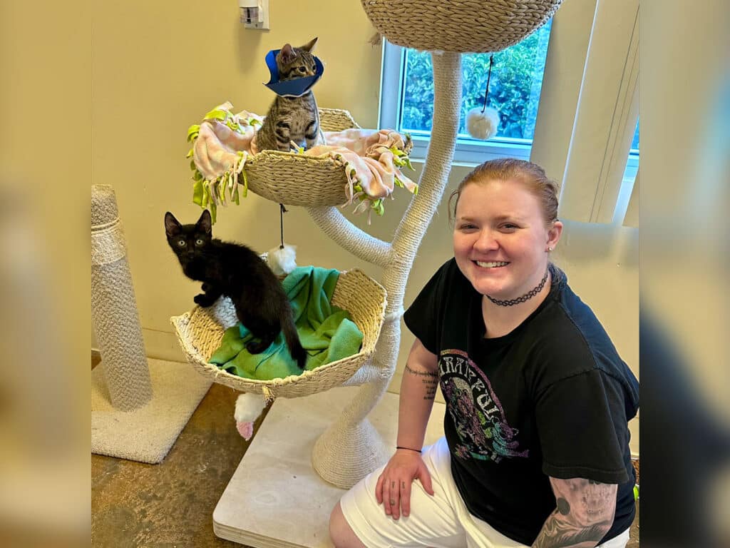 A person with short hair and a black shirt smiles while sitting next to a multi-level cat tree. Two kittens are perched on different levels, one wearing a blue hat, while a third black kitten sits in a basket below. The scene highlights the theme of adoption.
