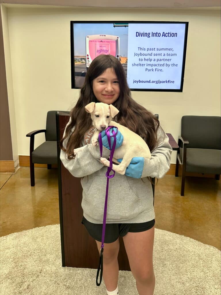 A girl with long brown hair wearing a grey hoodie holds a small dog with a purple leash. She stands in front of a presentation screen in an indoor space, with a wooden podium and chairs visible in the background.