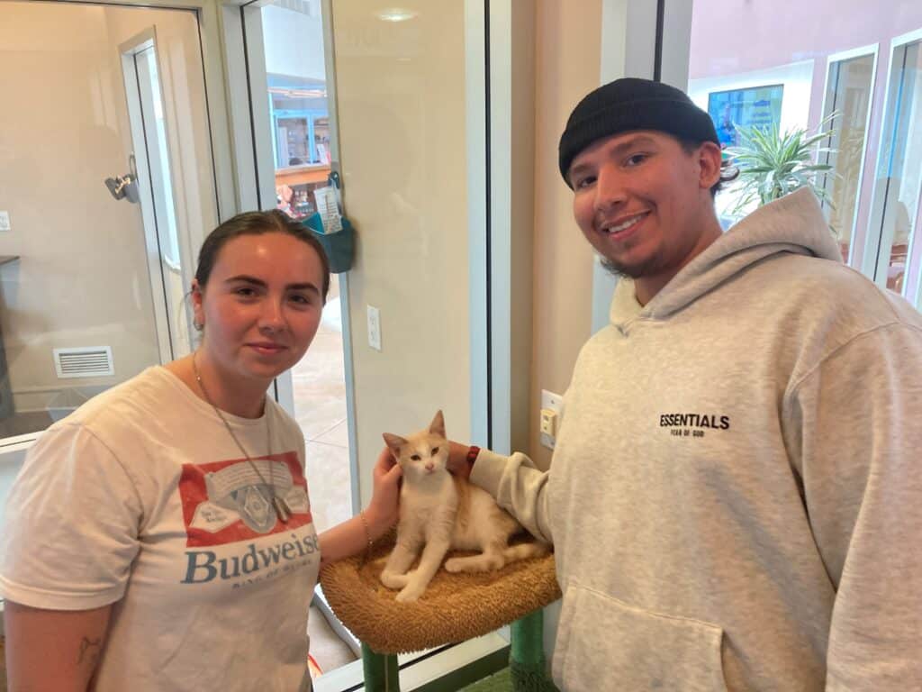 A woman and a man smiling while posing with a light orange kitten sitting on a scratching post in a bright room. The woman wears a white t-shirt and the man has a gray hoodie. Large windows and greenery are visible in the background.