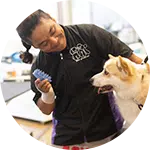 A person smiling while holding a blue brush near a corgi dog in a bright indoor setting. The scene emphasizes the act of rescuing animals in need, showcasing a caring interaction between the individual and the dog.