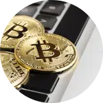 Golden bitcoin coins placed on a laptop keyboard, symbolizing digital currency. This image relates to supporting animal rescue donations, highlighting the use of cryptocurrency for funding charitable causes.