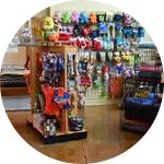 A brightly colored display of pet toys and supplies in an animal rescue donation center. Various toys are organized on racks, showcasing a range of items for pets. The interior has a wooden floor and a bright atmosphere, inviting donations for animal care.