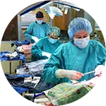 Veterinarians and medical staff wearing scrubs and masks perform surgery on an animal in a veterinary clinic. Surgical instruments and supplies are organized on a table, showing a focus on rescuing animals in need.