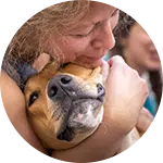A woman gently embracing a dog, demonstrating affection. The dog's expression is calm, and a group of people is visible in the background. This scene emphasizes the importance of programs focused on rescuing animals in need.