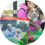 A person holding a dog while standing beside bags of pet food. The bags feature images of other dogs and a smiling individual. This scene emphasizes the commitment to rescuing animals in need.