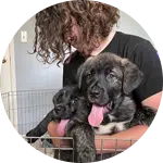 A person with curly hair holds two playful puppies, one black and one brindle, with their tongues out. The setting appears casual, and the image highlights the act of rescuing animals in need.