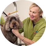 A groomer with short blonde hair holds a brown dog while brushing its fur in a brightly lit grooming area. The groomer smiles as she carefully attends to the animal, highlighting efforts in rescuing animals in need.